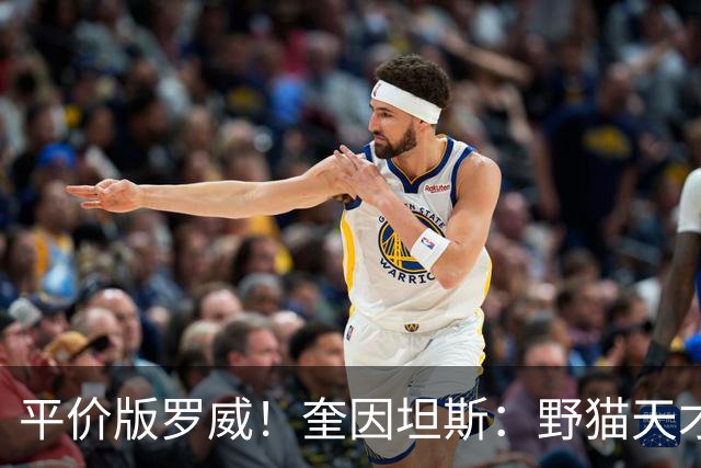 平价版罗威！奎因坦斯：野猫天才内线 存伤病隐患 罚球致敬米切罗